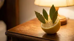 Pune o lămâie cu frunze de dafin în camera ta. A doua zi dimineață, îți vei mulțumi singur.